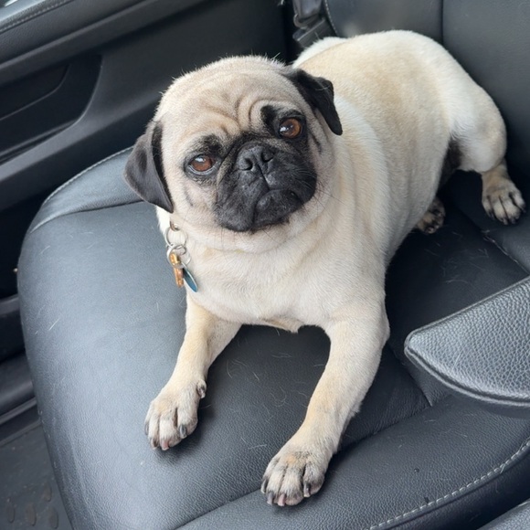 🫵🏽 👁️ ❤️ THIS IS LIVE FLYER PEEPS! MAKE THAT HEART RED POR FAAAAA - Picture 16 of 17